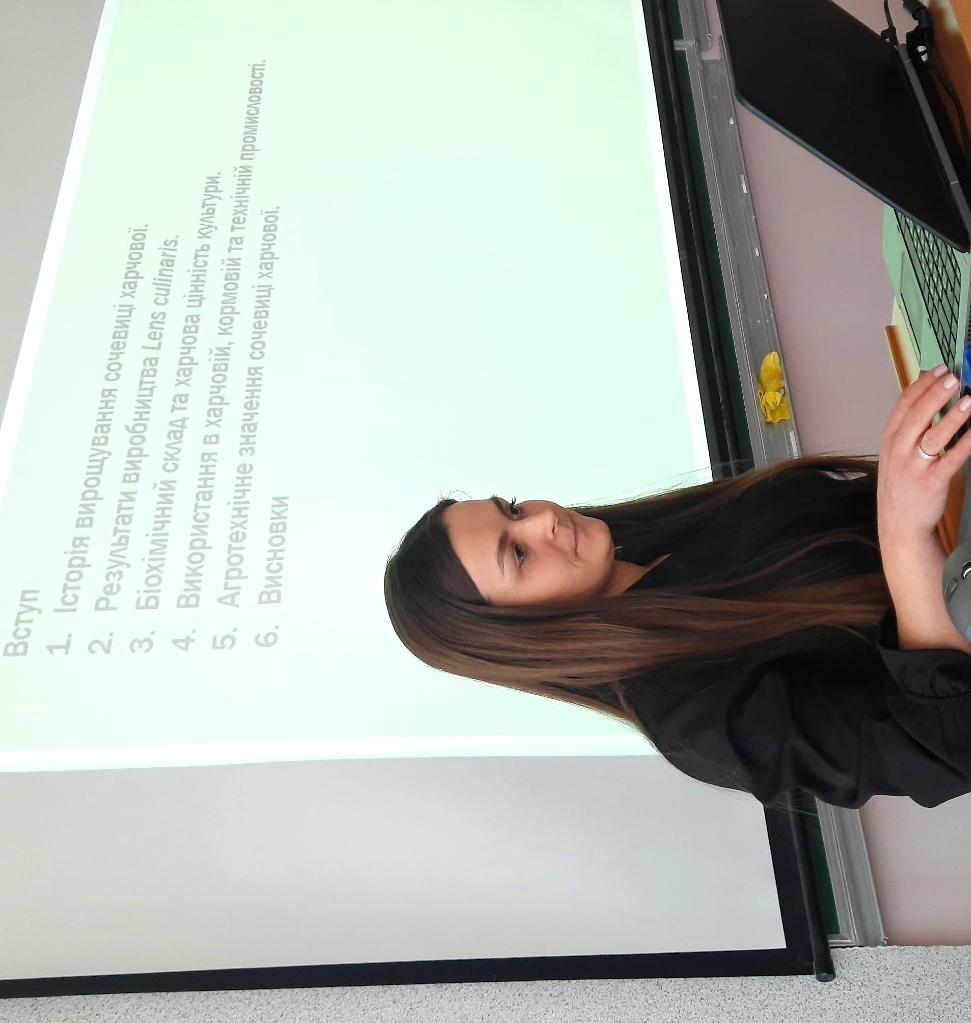 Вікторія Козак про поширення і значення сочевиці